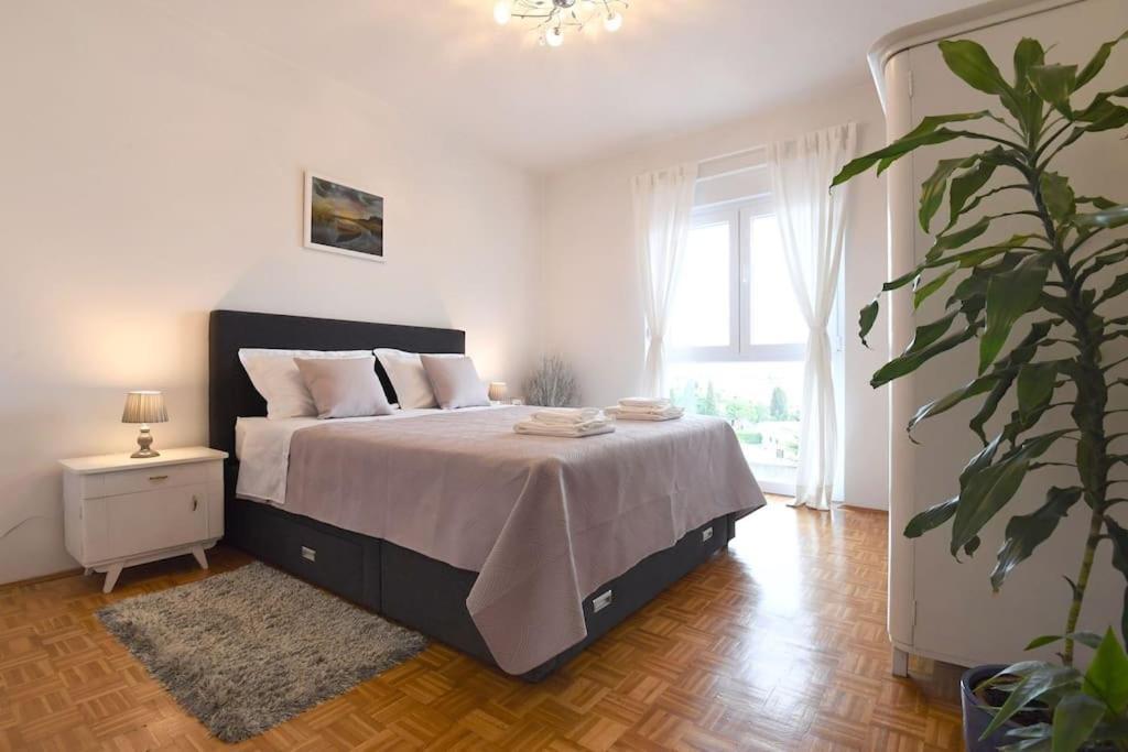 Apartman Ilijana Zara Esterno foto
