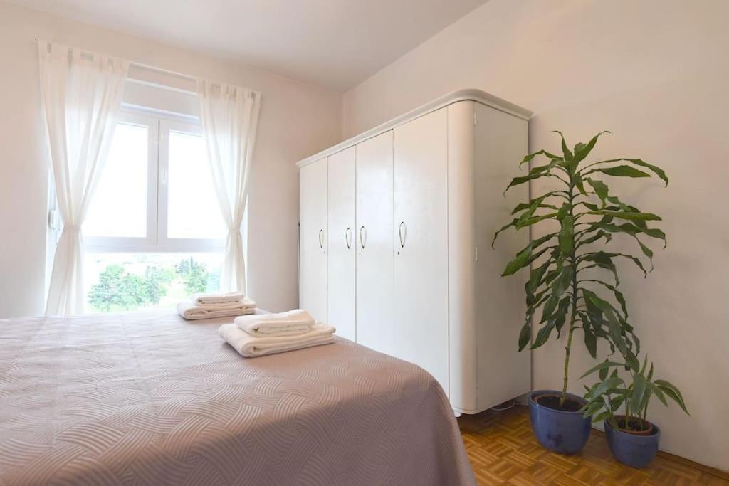 Apartman Ilijana Zara Esterno foto